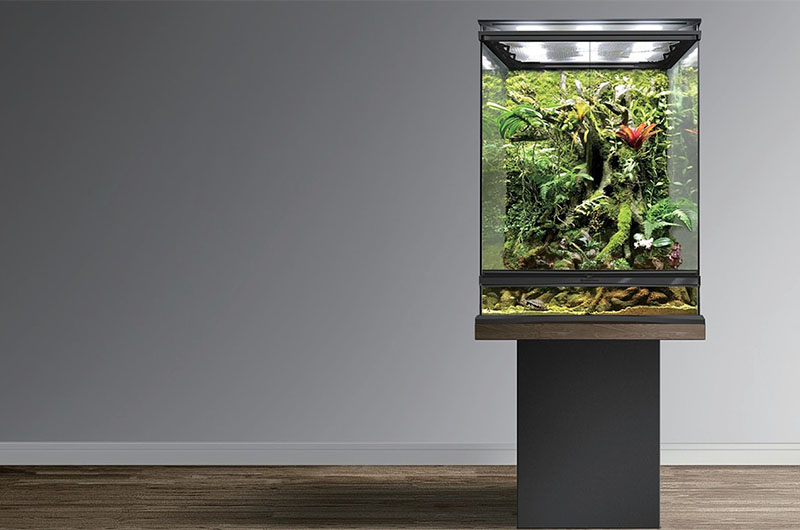 线性降压式恒流LED驱动应用在植物灯，比白炽灯等成本更低、更高效封面图