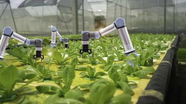 GNSS导航系统中高精度定位定向模组M20在未来农场中的应用封面图